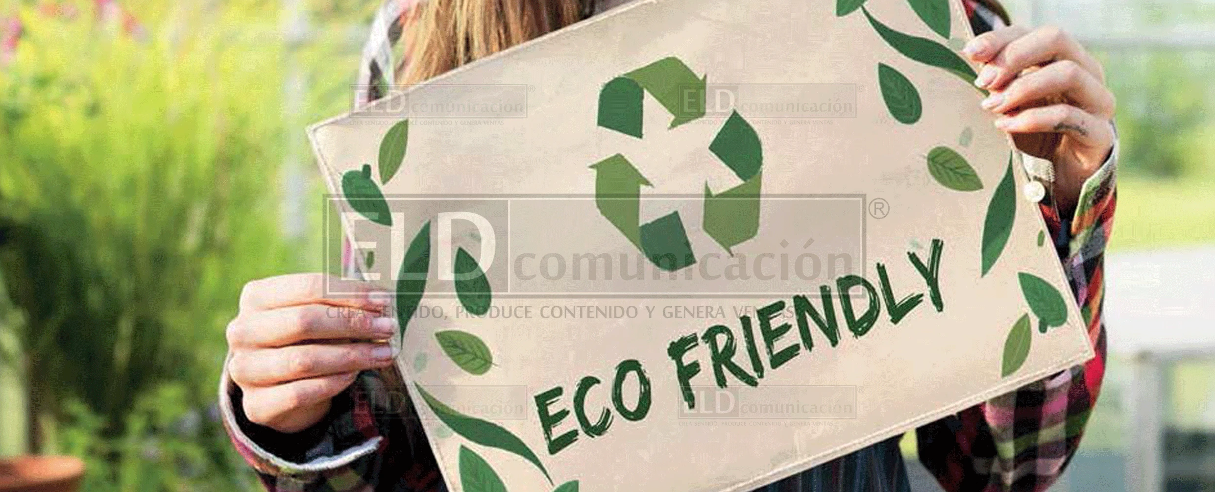 Catálogo de Bolsas Promocionales