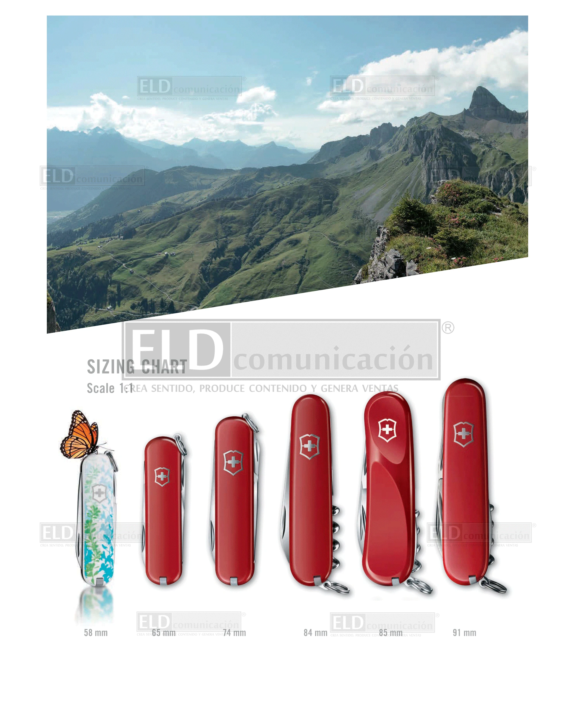 Navajas Victorinox 01